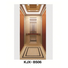 Villa elevador com espelho acabado em aço inoxidável (KJX-BS06)